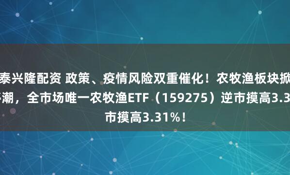 泰兴隆配资 政策、疫情风险双重催化！农牧渔板块掀涨停潮，全市场唯一农牧渔ETF（159275）逆市摸高3.31%！