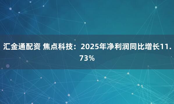 汇金通配资 焦点科技：2025年净利润同比增长11.73%