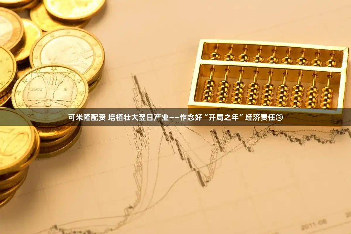 可米隆配资 培植壮大翌日产业——作念好“开局之年”经济责任③