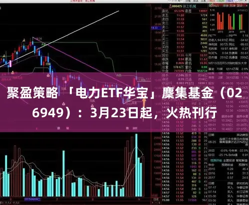 聚盈策略 「电力ETF华宝」麇集基金(026949):3月23日起,火热刊行