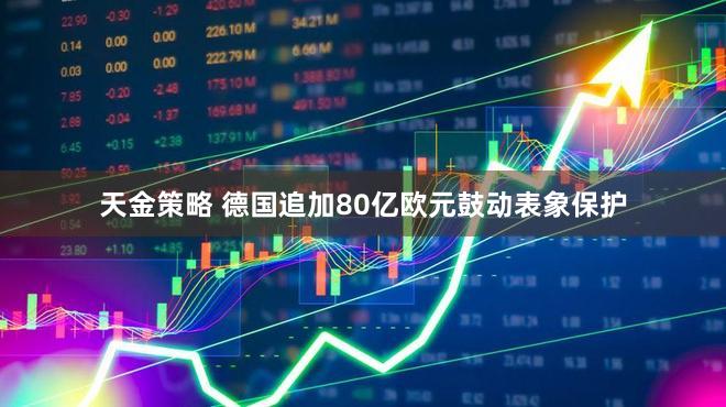 天金策略 德国追加80亿欧元鼓动表象保护