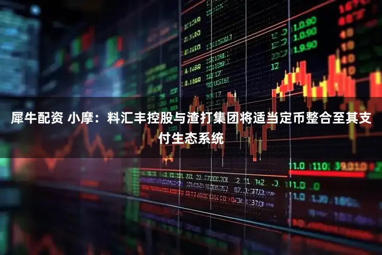 犀牛配资 小摩：料汇丰控股与渣打集团将适当定币整合至其支付生态系统