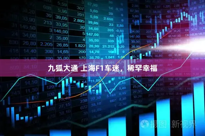 九狐大通 上海F1车迷,稀罕幸福
